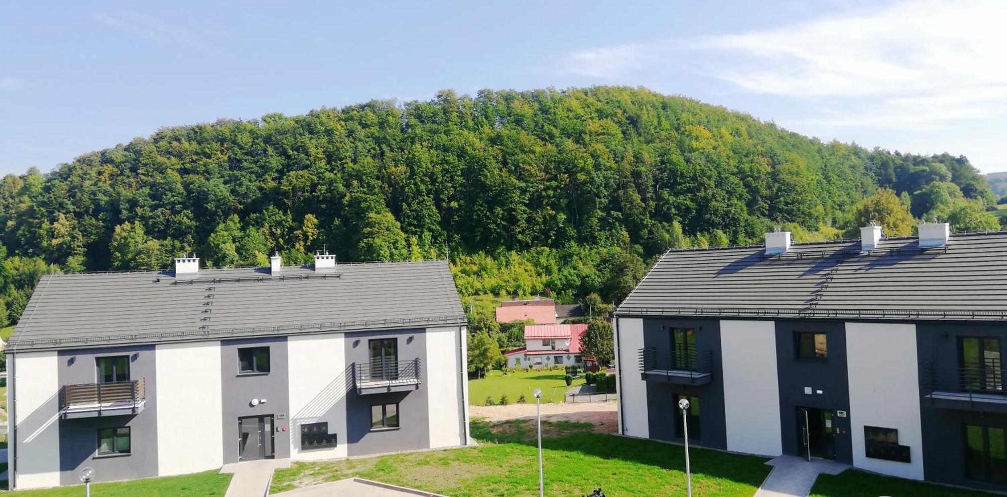 Apartment Roku 2025 !! Spa & Relax Jelen & Natura Kudowa-Zdrój Εξωτερικό φωτογραφία