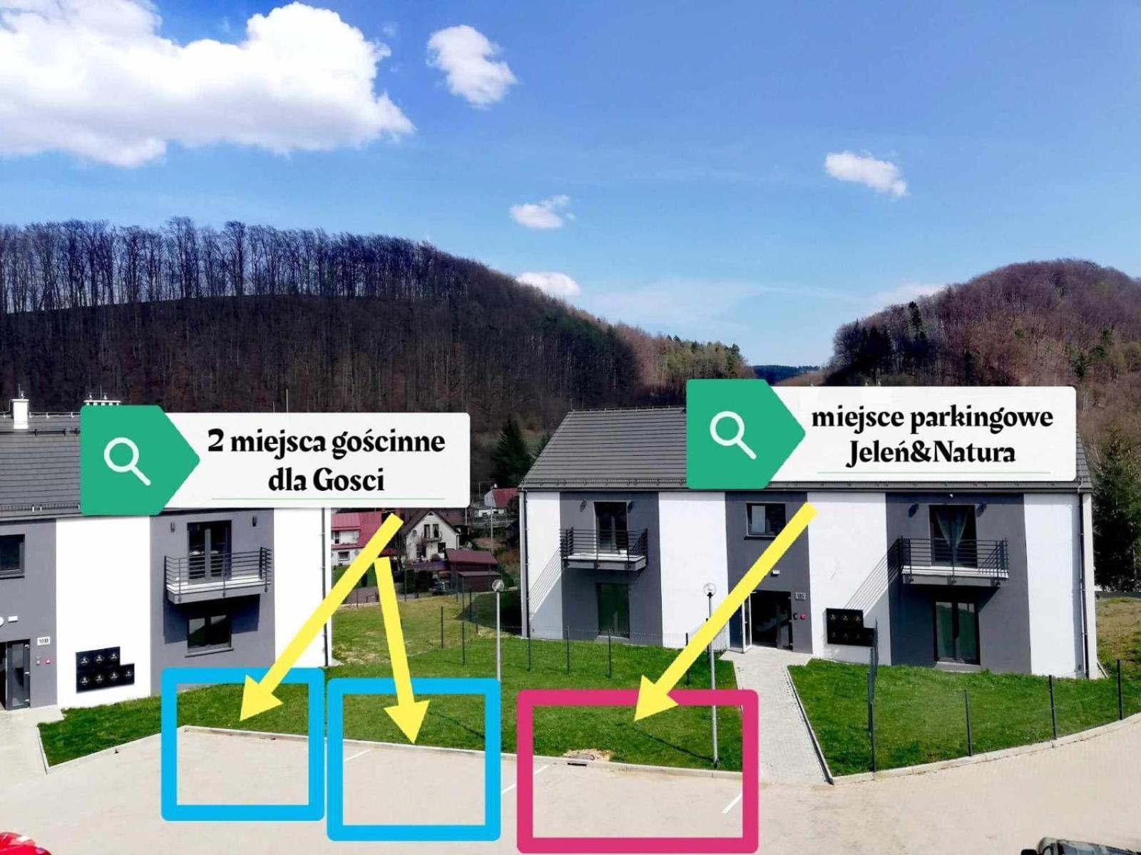 Apartment Roku 2025 !! Spa & Relax Jelen & Natura Kudowa-Zdrój Εξωτερικό φωτογραφία